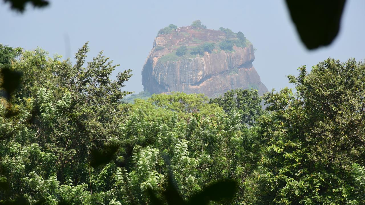 Sigiri Sarilco Rock View Treehouse Villa Sigiriya Exteriör bild